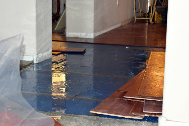 Professional Burst Pipe Water Damage technician working in Ambridge, PA